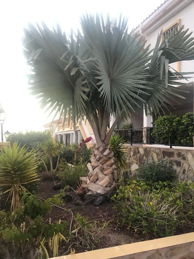 Hipnautic Vibes 1Br Apt W-Poolocean View Near Aqualand, Wifi, Netflix, Free Parking, 2 Pools Access Apartment Costa Adeje